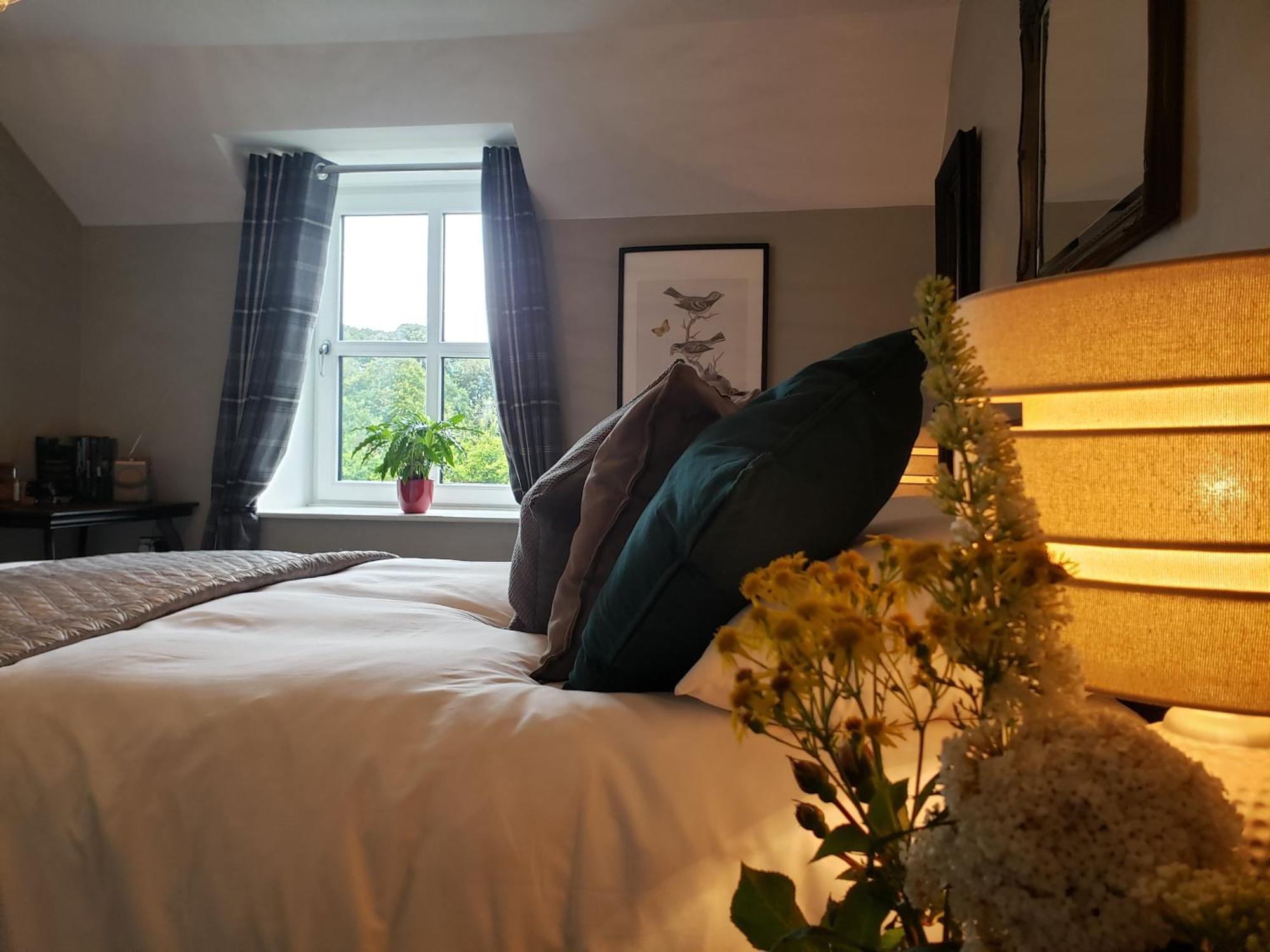Bryansford Cottage Zewnętrze zdjęcie